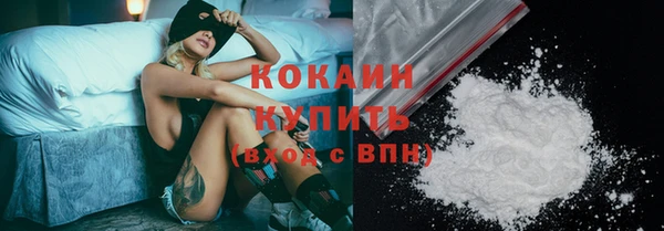 стаф Аркадак