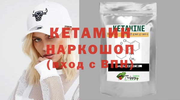 стаф Аркадак