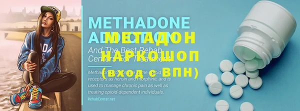 стаф Аркадак