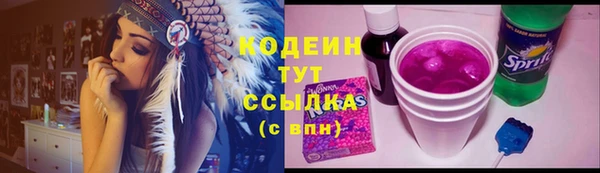 эйфоретик Арсеньев