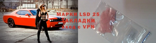 стаф Аркадак