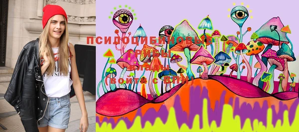 эйфоретик Арсеньев