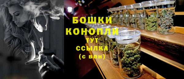 эйфоретик Арсеньев