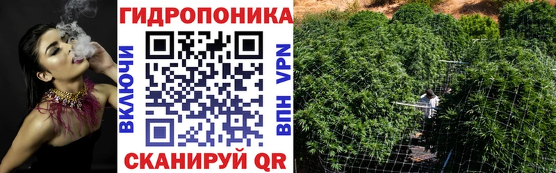 где купить наркотик  Курлово  Бошки Шишки White Widow 